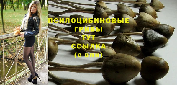 первитин Армянск