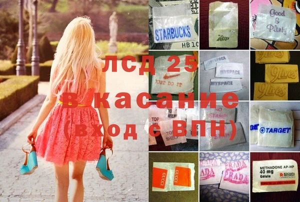 стаф Арсеньев