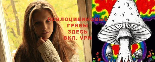 первитин Армянск